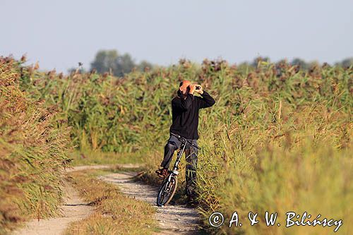 wyspa Rusne, obserwator ptaków, rzeka Niemen, Park Regionalny Delty Niemna, Litwa