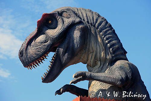 DinoZatorLand, Park Ruchomych Dinozaurów w Zatorze