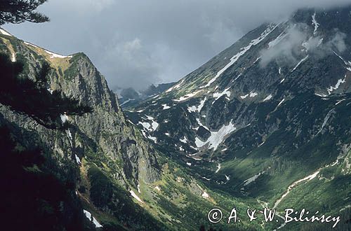 Dolina Roztoki, Tatry