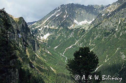 Dolina Roztoki, Tatry