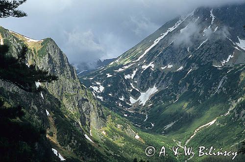 Dolina Roztoki, Tatry