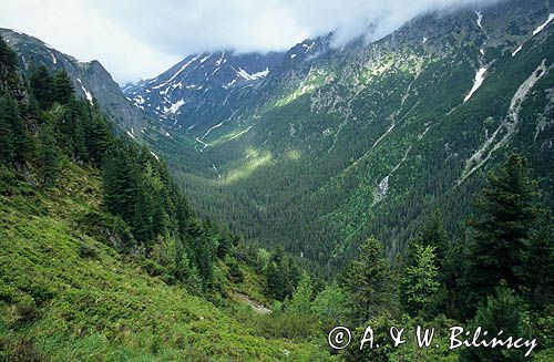 Dolina Roztoki, Tatry