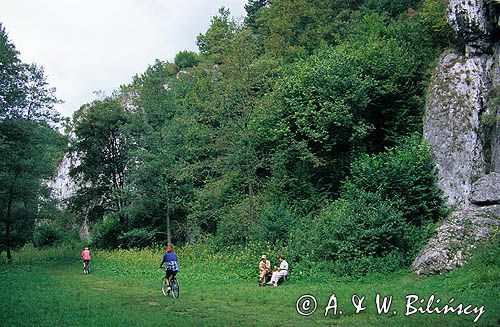 rez. Dolina Mnikowska, Tenczyński Park Krajobrazowy