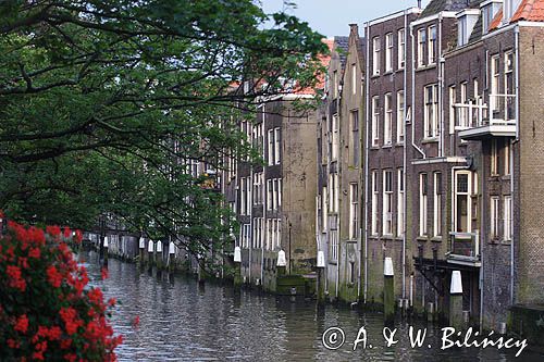 Dordrecht, domy nad kanałem, Holandia