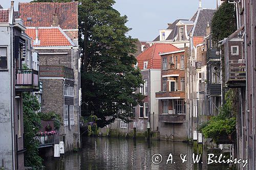 Dordrecht, domy nad kanałem, Holandia