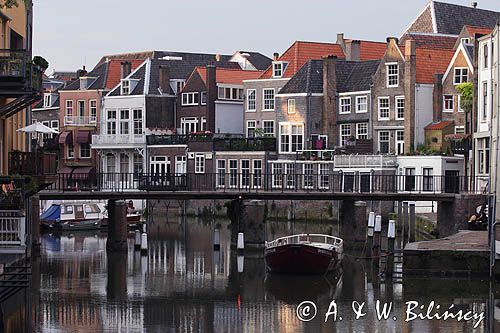 Dordrecht, domy nad kanałem, Holandia