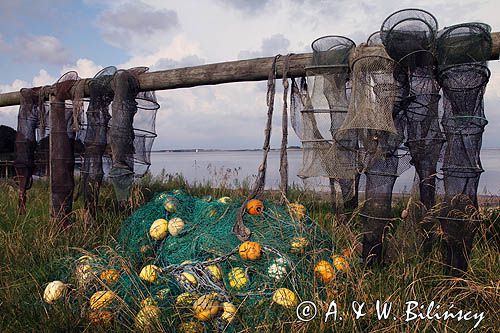 Sieci rybackie, Doverodde, Limfjord, Jutlandia, Dania