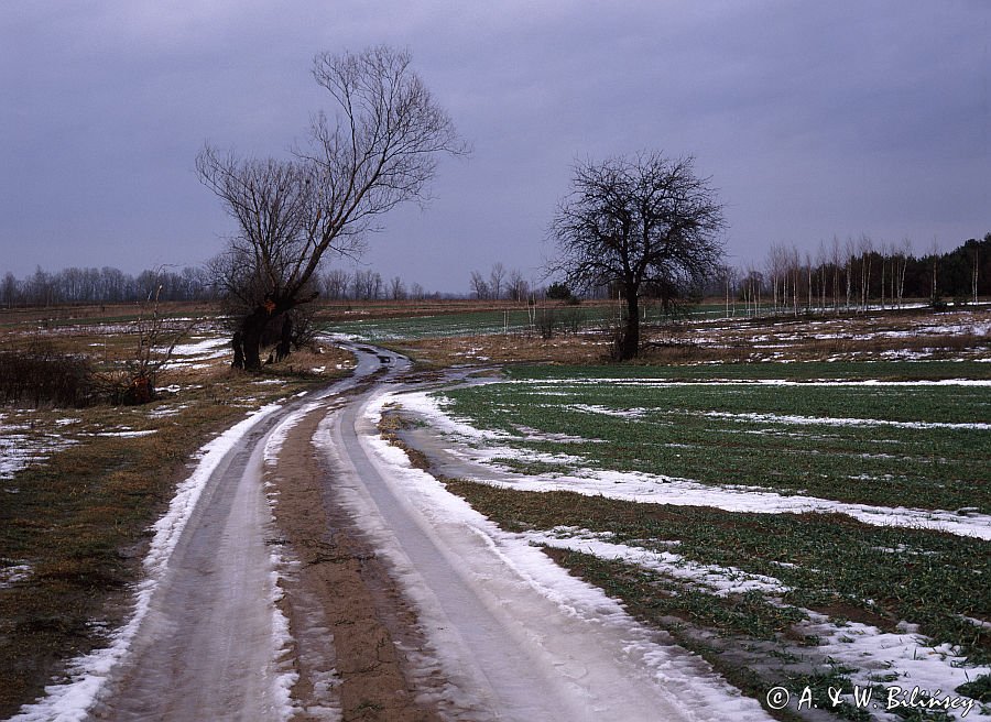 droga na Mazowszu