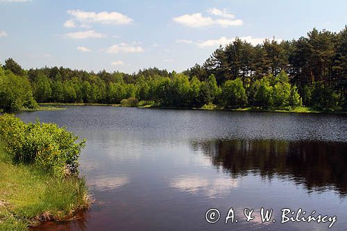 Drutarnia Końskie