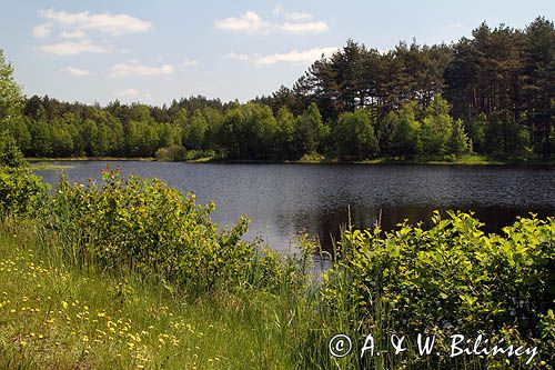 Drutarnia Końskie