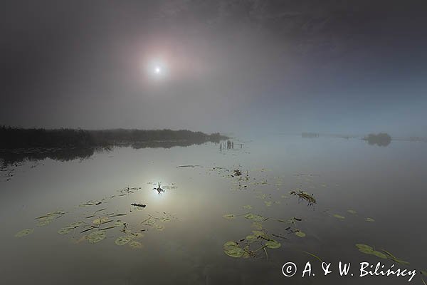Jezioro Drużno, Druzno, rezerwat przyrody