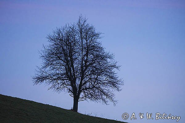 O wschodzie Słońca, Góry Sanocko-Turczańskie