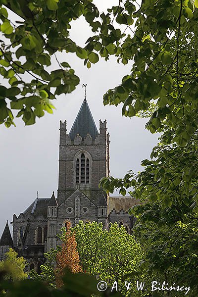 Christ Church, Katedra Kościoła Chrystusowego, Dublin, Irlandia