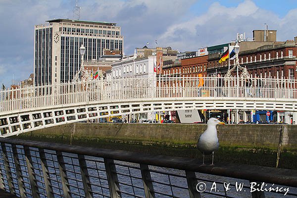 Most Ha Penny Bridge, Dublin, Irlandia