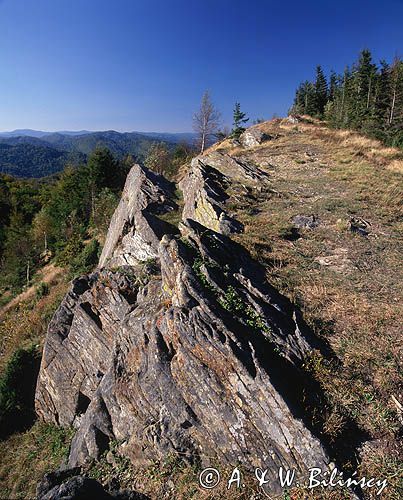 Dwernik Kamień, Bieszczady, flisz karpacki