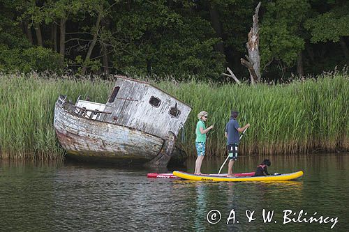 na desce zamiast bączka, Dybvig Bugt, Jutlandia, Mały Bełt, Dania, Stand up paddle boarding