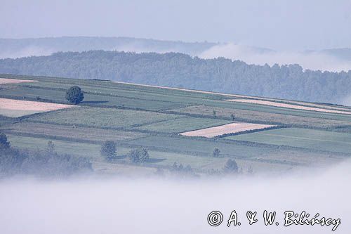 mgły o poranku, widok z Łysej Góry koło wsi Dydnia, Pogórze Dynowskie