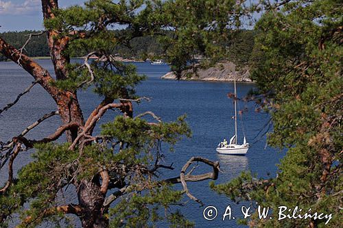 Zatoka Dyviken na wyspie Orno, Szkiery Szwedzkie, Archipelag Sztokholmski, Szwecja