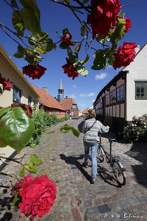 Ebeltoft, Ratusz, Dania, Jutlandia