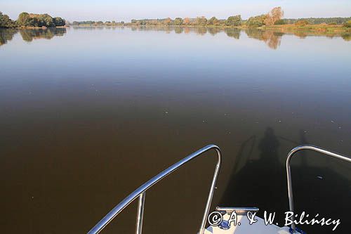 rzeka Łaba, Elbe, Dolna Saksonia, Niemcy