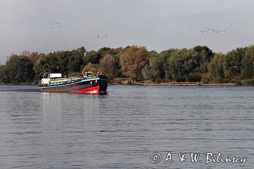 barki na rzece, rzeka Łaba, Elbe, Dolna Saksonia, Niemcy