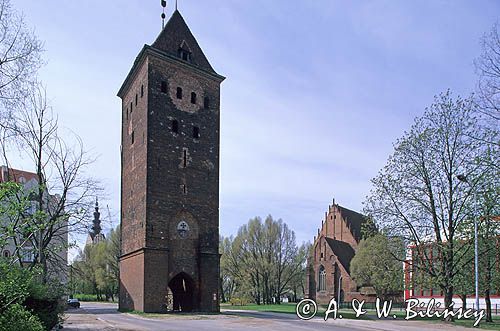 Elbląg brama targowa