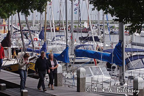 Ijsselmeer, port jachtowy w Enkhuizen, Holandia