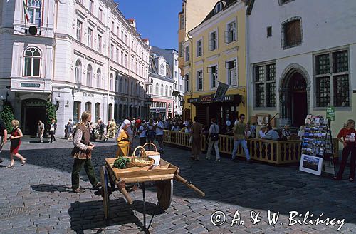 Estonia, Tallin, Vana Turg, Dolne Miasto