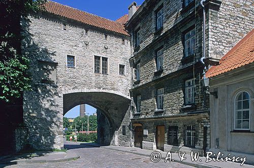 Estońskie Muzeum Morskie, Tallin, Estonia