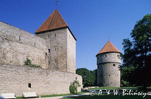 Baszta Kiekindekok Tallin, Estonia