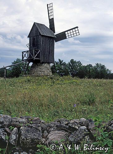 Estonia wyspa Muhu, wiatrak we wsi Koguva