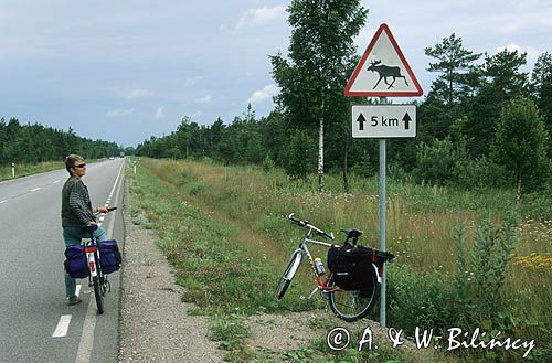 Wyspa Muhu, Estonia