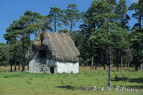 Wyspa Faro koło Gotlandii, szałas, domek, chata, Szwecja