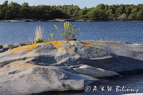 wyspa Bjorko, szkiery Turku, Finlandia Bjorko Island, Finland