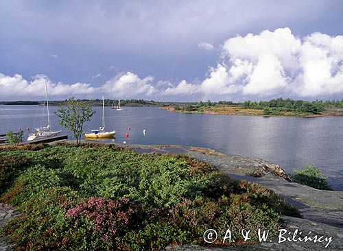 Finlandia, Alandy, wyspa Rodhamn, wybrzeże szkierowe