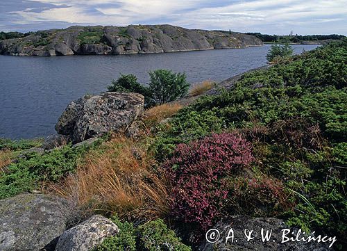 Archipelag Turku, Wyspa Bjorko, Finlandia