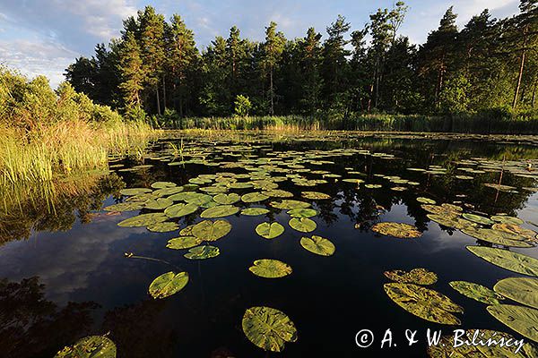 W Forsvik, Kanał Gota, Szwecja