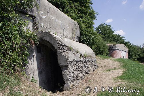 Twierdza Przemyśl, fort XI Duńkowiczki