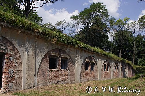 Twierdza Przemyśl, fort VIII Łętownia