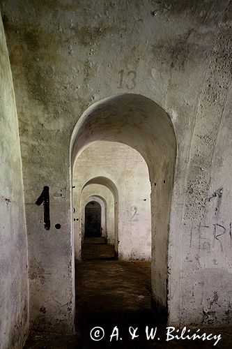 Twierdza Przemyśl, fort VIII Łętownia