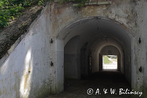 Twierdza Przemyśl, fort VIII Łętownia