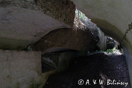 Twierdza Przemyśl, fort VIII Łętownia