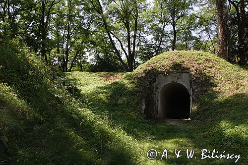 Twierdza Przemyśl, fort VIII Łętownia