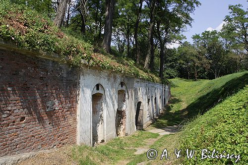 Twierdza Przemyśl, fort VIII Łętownia