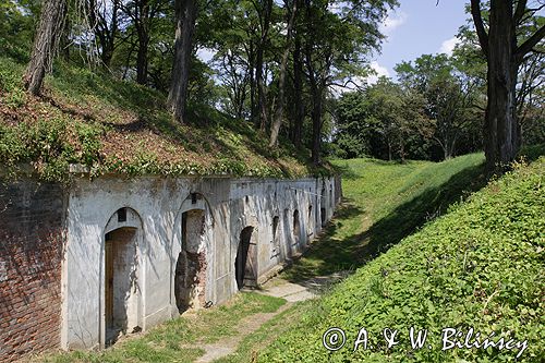 Twierdza Przemyśl, fort VIII Łętownia