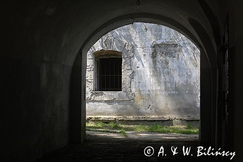 Twierdza Przemyśl, fort VIII Łętownia