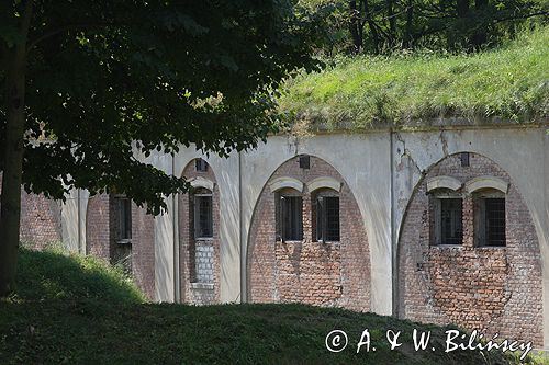 Twierdza Przemyśl, fort VIII Łętownia