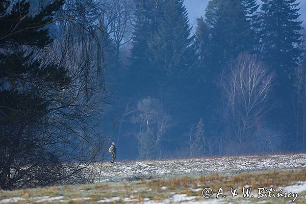 Fotograf przyrody, BIeszczady