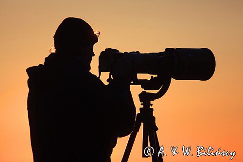 fotograf przyrody z teleobiektywem na statywie