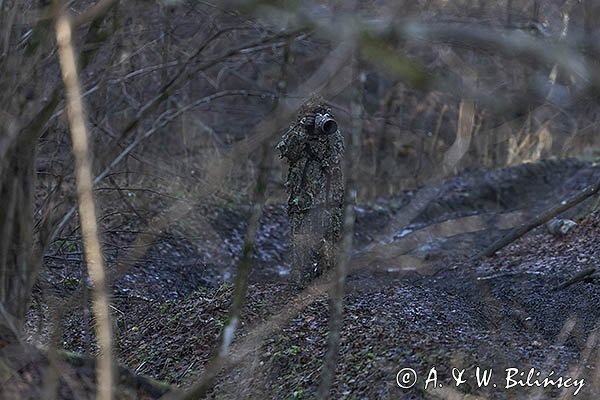 Fotograf przyrody w stroju maskującym, Bieszczady